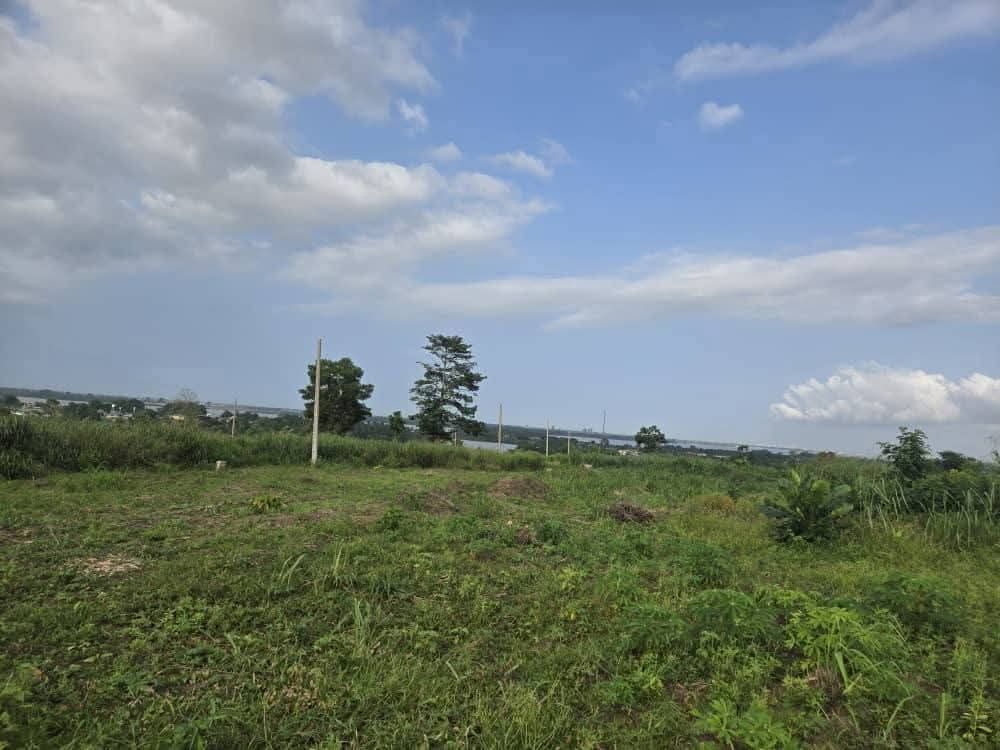 Terrains disponibles