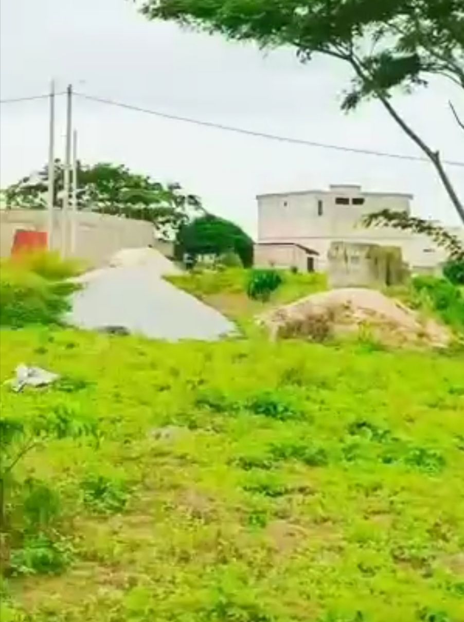 Terrains disponibles