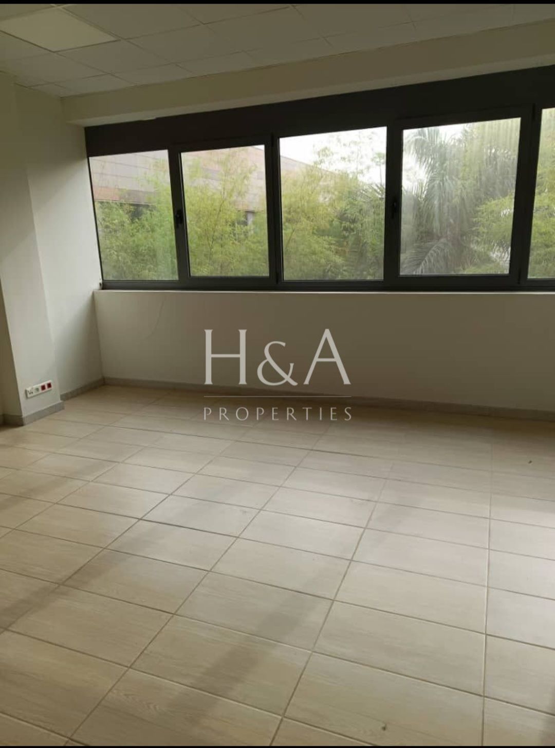 WORKSHOP - PLATEAU INDENIE