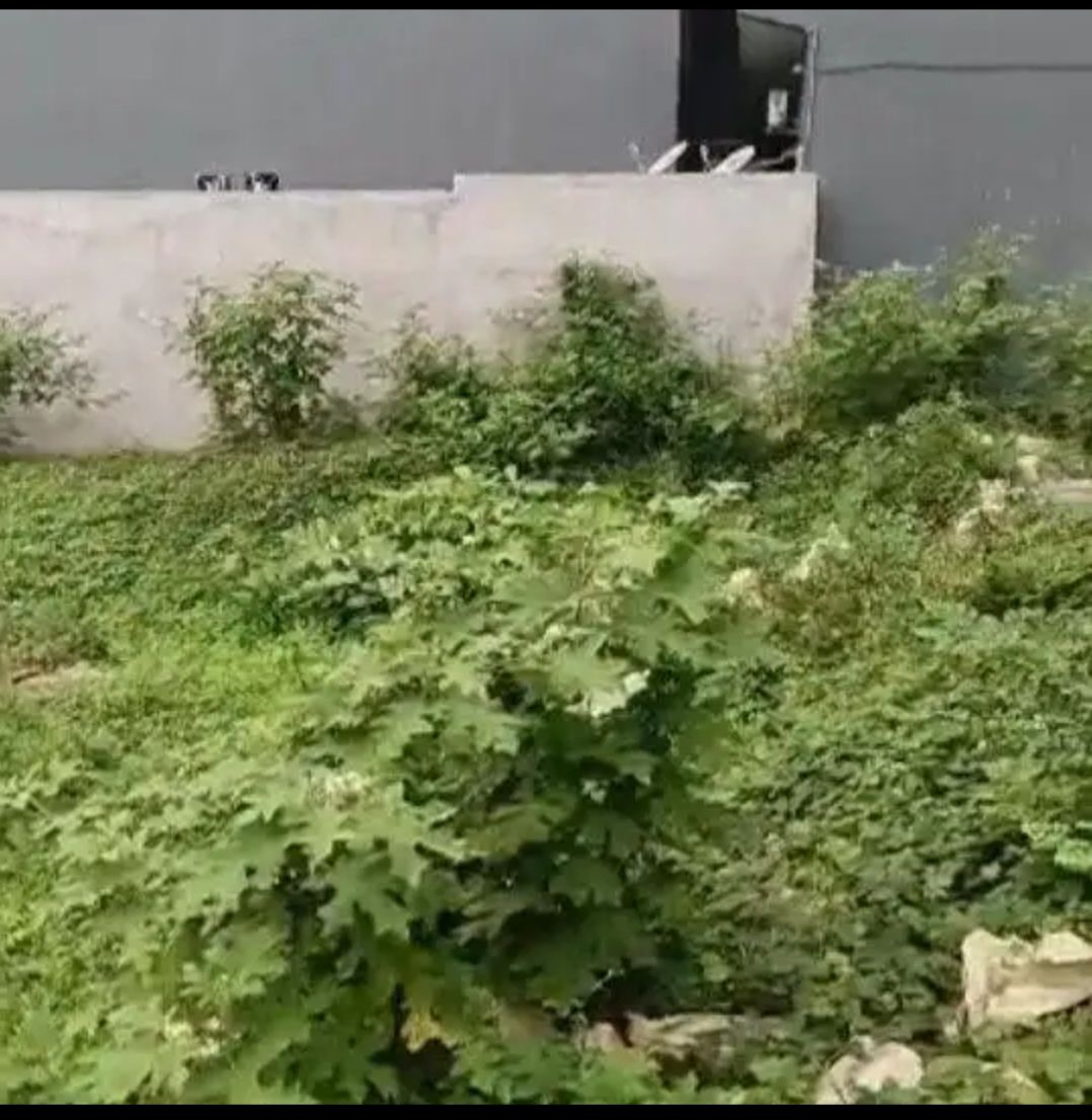 Terrain à vendre avec ACD