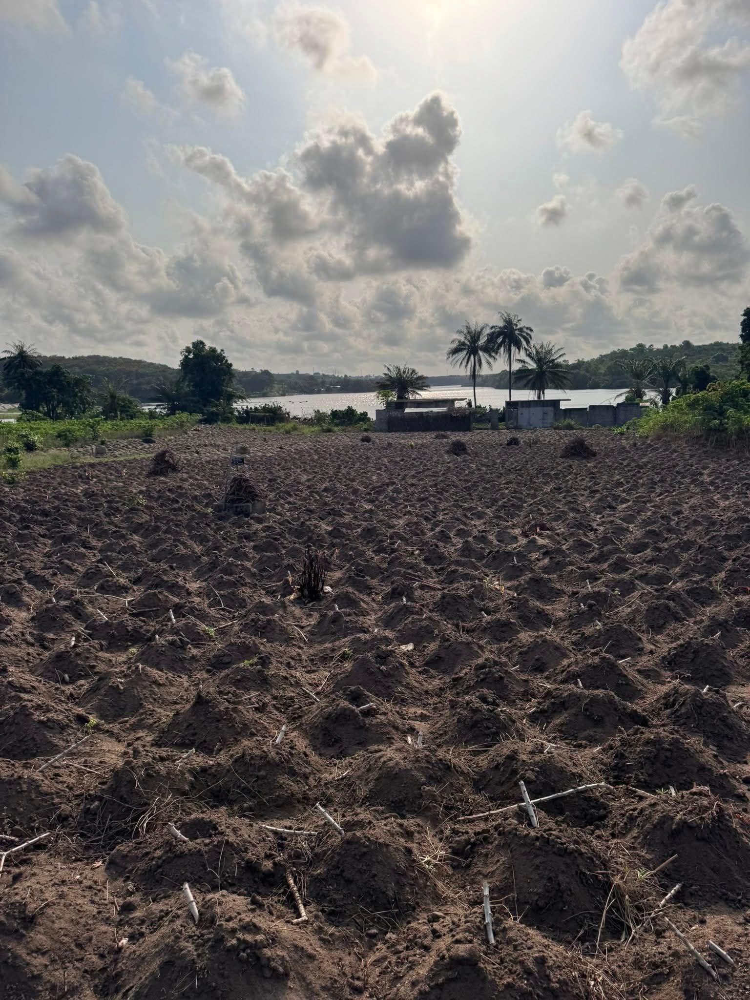 Terrain en vente