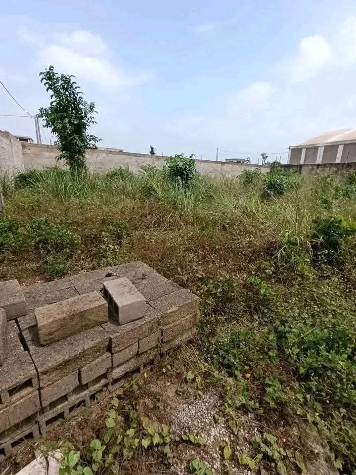 Terrain en vente
