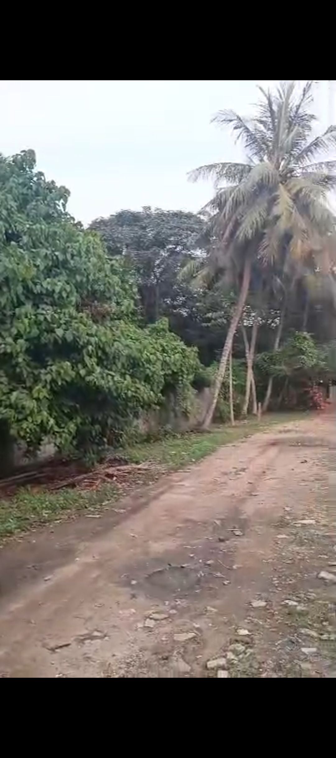 UN TERRAIN DE 7000M2 EN VENTE