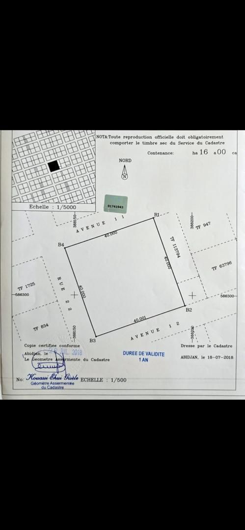 Terrain 1600 m² - Avenue 12