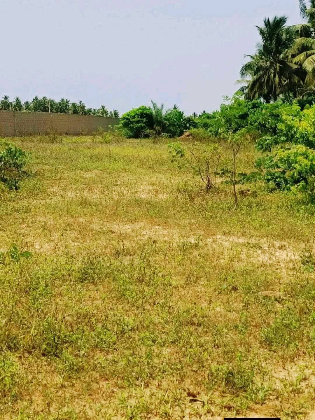 Terrain en vente