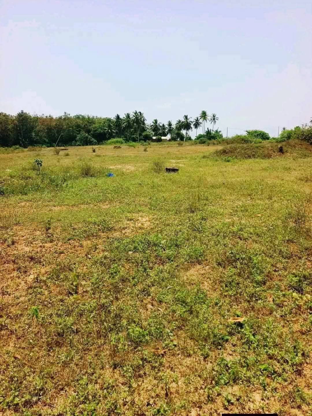 Terrain en vente