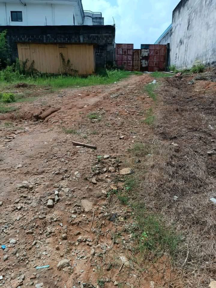 Terrain