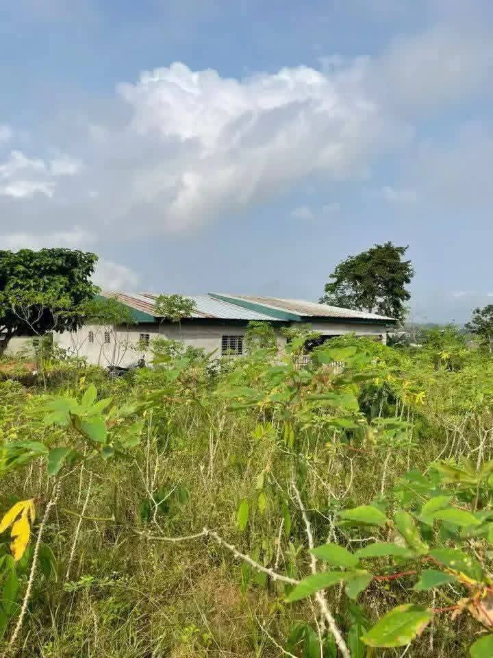 Terrain en vente