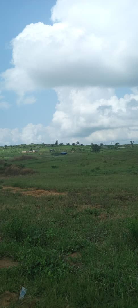 Terrain en vente