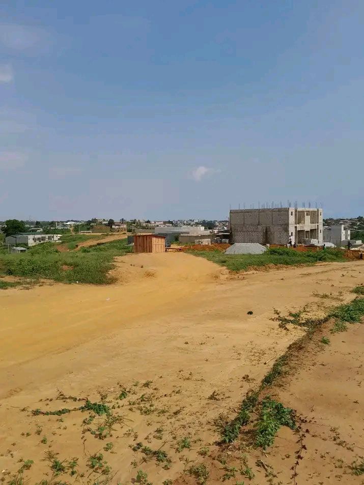 Terrain