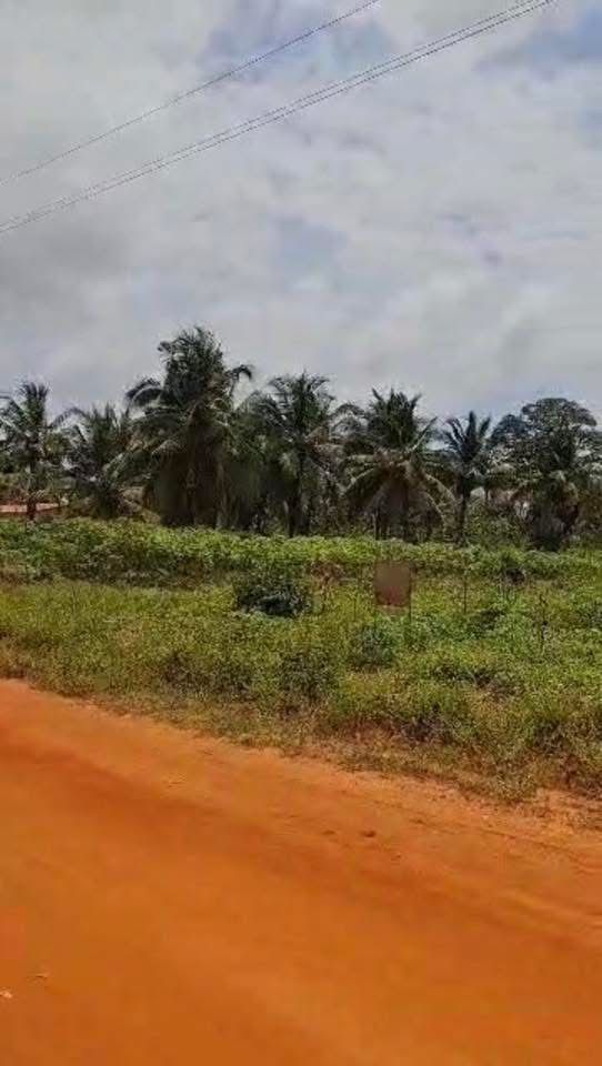 Terrain en vente