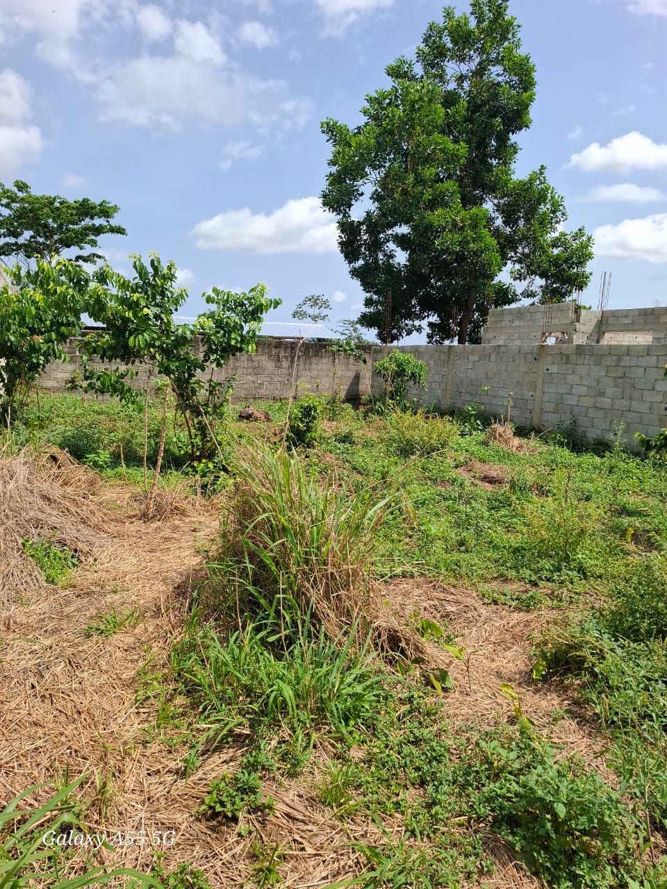 Terrain en vente