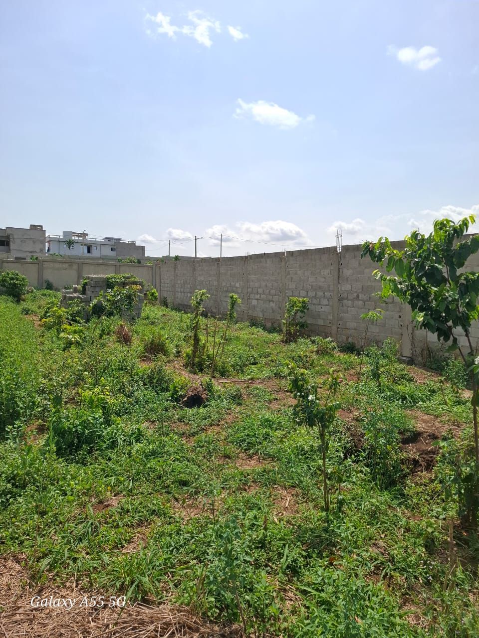 Terrain en vente