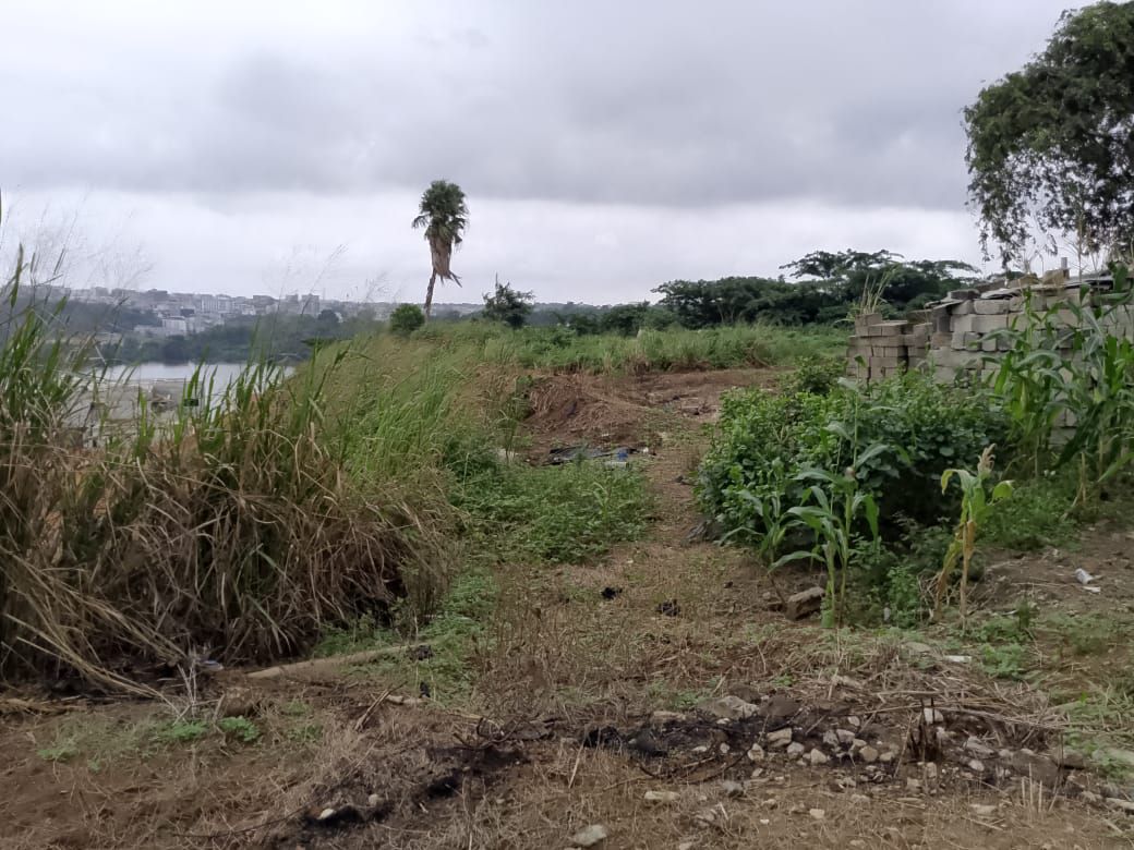 UN TERRAIN DE 3 HECTARES EN VENTE