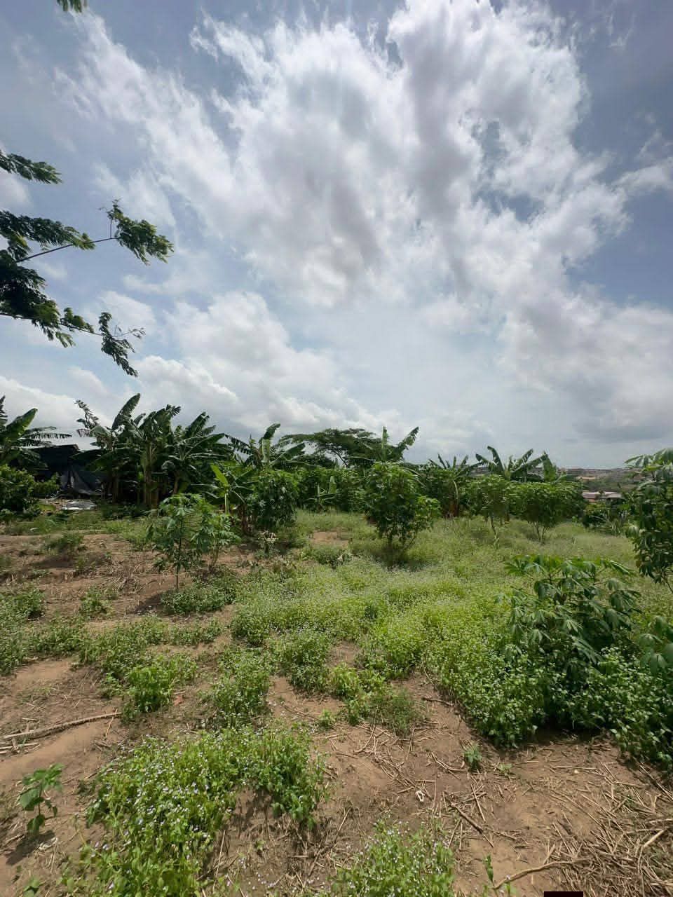 UN TERRAIN DE 4500m² EN VENTE
