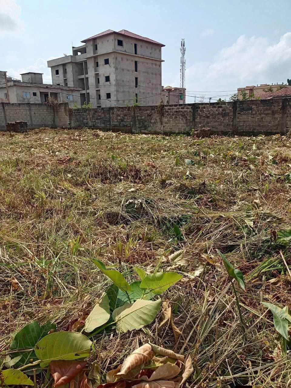 Terrain de 600m2 avec ACD