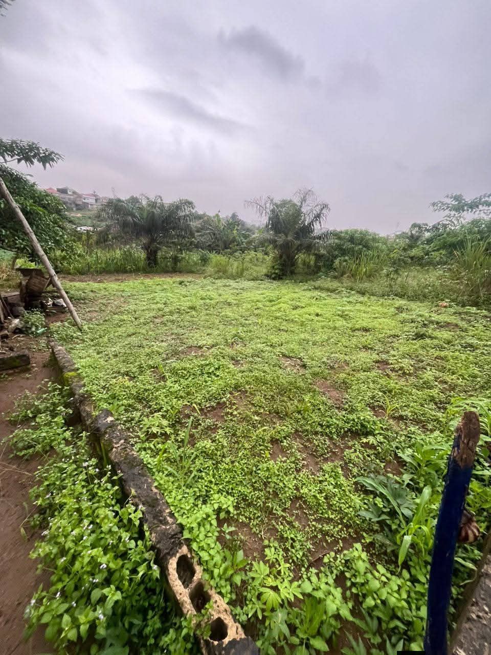 Magnifique terrain de 400m2 avec ACD